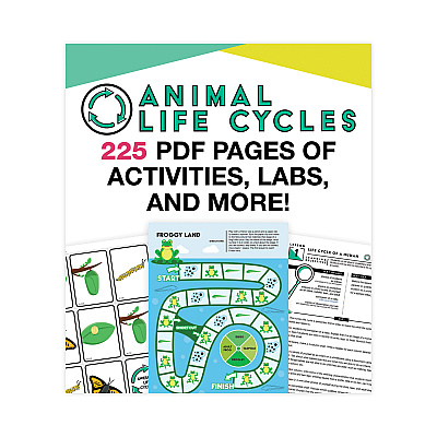 Carson-Dellosa Education In a Flash USB, Animal Lifestyles, Ages 5-8, 225 Pages (CDP109567)