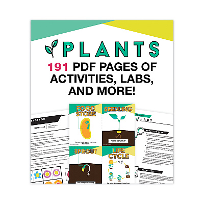 Carson-Dellosa Education In a Flash USB, Plants, Ages 5-8, 191 Pages (CDP109565)