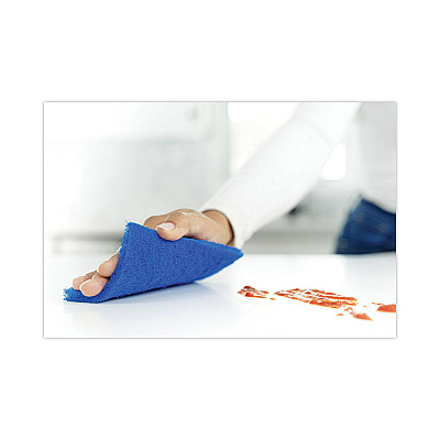 Scotch-Brite Non-Scratch Scour Pads, Size 3 x 6, Blue, 10/Carton (MMM62310)