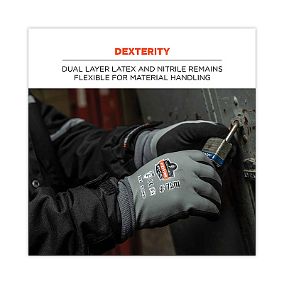 ergodyne ProFlex 7501 Coated Waterproof Winter Gloves, Gray, Large, Pair (EGO17634)