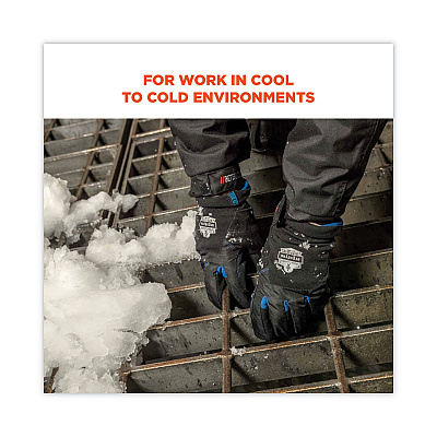 ergodyne ProFlex 814 Thermal Utility Gloves, Black, X-Large, Pair (EGO17335)
