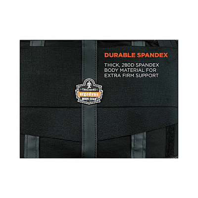 ergodyne ProFlex 1100SF Standard Spandex Back Support Brace, Large, 34" to 38" Waist, Black (EGO11604)