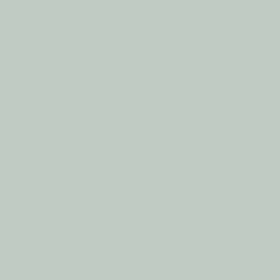 Aston & Arden Egyptian Cotton Washcloth 13x13 Sage Green, Pack Of 6 (P-EGYP-1313-SGE)