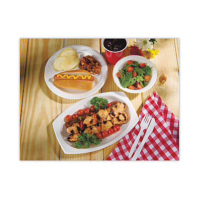Dart Concorde Non-Laminated Foam Plate, 9" dia, White, 125/Pack, 4 Packs/Carton (DCC9PWC)