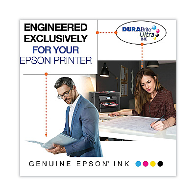 Epson T252120D2 (T252) DURABrite Ultra Ink, 350 Page-Yield, Black, 2/Pack