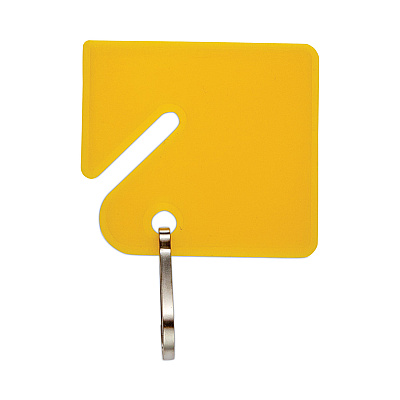 CONTROLTEK Key Tags, Blue/Green/Red/Yellow, 20/Pack, 3 Packs/Carton (CNK500133)