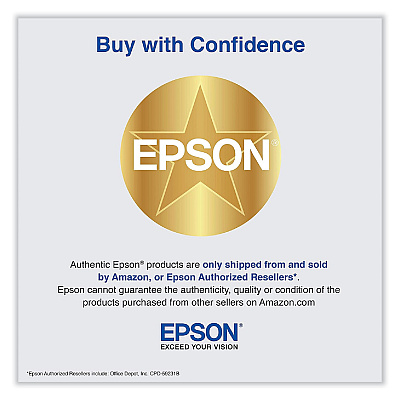 Epson T49AE20 (T49A) UltraChrome PRO6 High-Yield Ink, 110 mL, Gray