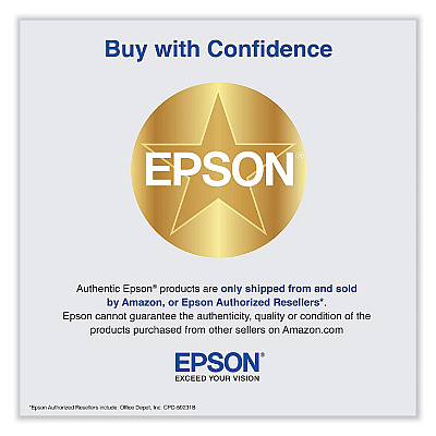 Epson T48SE20 (T48S) UltraChrome PRO6 High-Yield Ink, 350 mL, Gray