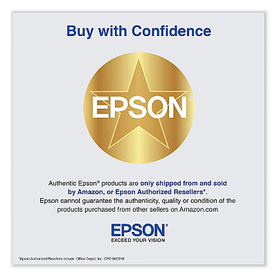 Epson T48LE20 (T48L) UltraChrome PRO6 High-Yield Ink, 700 mL, Gray