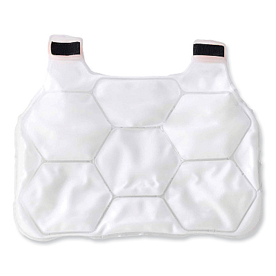 ergodyne Chill-Its 6220 Phase Change Cooling Vest Charge Packs, Small/Medium, 12 x 16.25 (EGO12201)