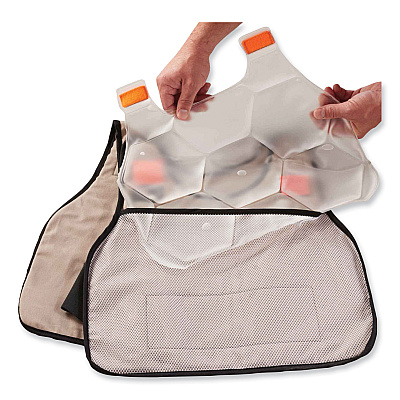 ergodyne Chill-Its 6220 Phase Change Cooling Vest Charge Packs, Small/Medium, 12 x 16.25 (EGO12201)