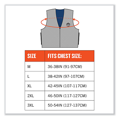 ergodyne Chill-Its 6665 Embedded Polymer Cooling Vest with Zipper, Nylon/Polymer, Medium, Gray (EGO12543)