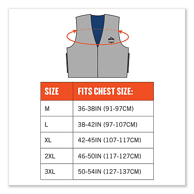 ergodyne Chill-Its 6665 Embedded Polymer Cooling Vest with Zipper, Nylon/Polymer, Large, Gray (EGO12544)