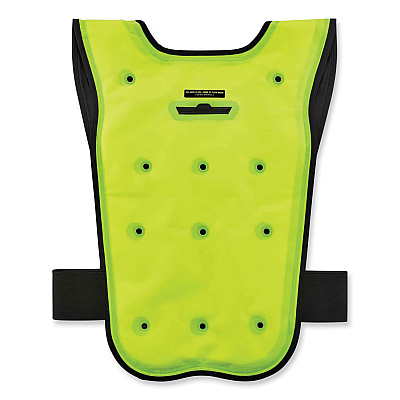 ergodyne Chill-Its 6687 Economy Dry Evaporative Cooling Elastic Waist Vest, Nylon, Large/X-Large, Lime (EGO12685)