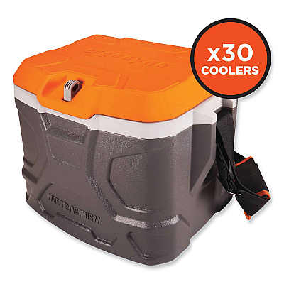 ergodyne Chill-Its 5170 17-Quart Industrial Hard Sided Cooler, Orange/Gray, 30/Pallet (EGO13172)