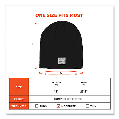 ergodyne N-Ferno 6812 Rib Knit Beanie, One Size Fits Most, Black (EGO16812)