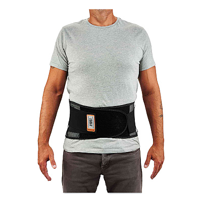 ergodyne ProFlex 1051 Mesh Back Support, Large, 34" to 38" Waist, Black (EGO20185)