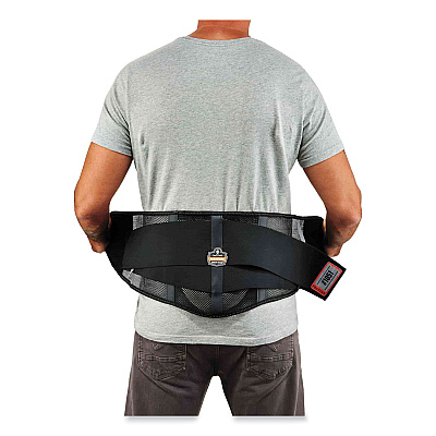 ergodyne ProFlex 1051 Mesh Back Support, 2X-Large, 42" to 46" Waist, Black (EGO20187)