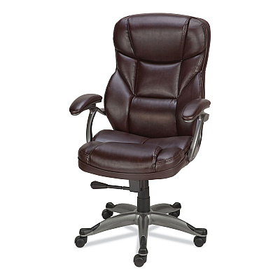 Alera Birns Series High-Back Task Chair, Supports Up to 250 lb, 18.11" to 22.05" Seat Height, Brown Seat/Back, Chrome Base (ALEBN41B59)