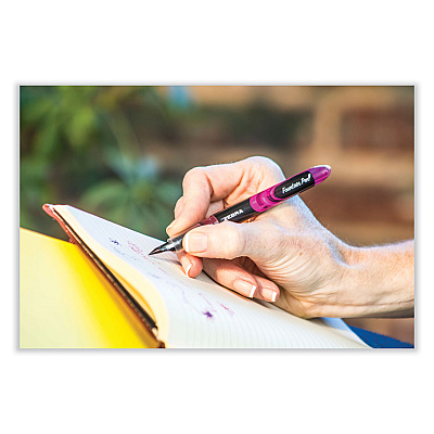 Zebra Fountain Pen, Fine 0.6 mm, Blue Ink, Black/Blue Barrel, 12/Pack (ZEB48320)