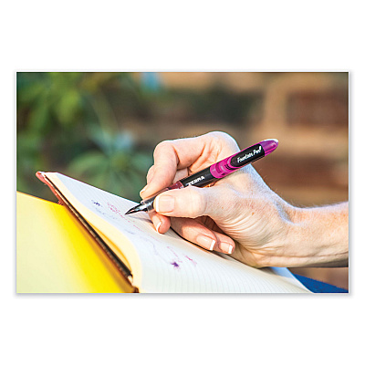 Zebra Fountain Pen, Fine 0.6 mm, Black Ink, Black/Gray Barrel, 12/Pack (ZEB48310)
