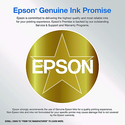 Epson T202XL-BCS (202XL) Claria High-Yield Ink, 550/165 Page-Yield, Cyan/Magenta/Yellow