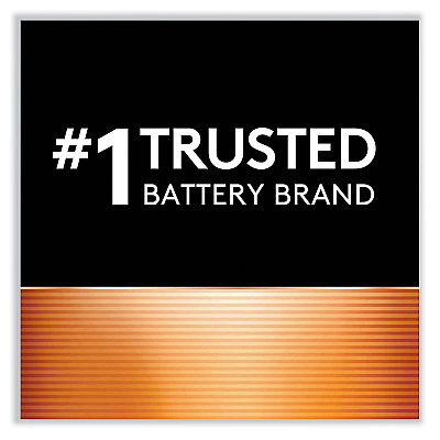 Duracell CopperTop Alkaline D Batteries, 12/Box (DURMN1300)