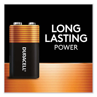 Duracell CopperTop Alkaline 9V Batteries, 2/Pack (DURMN1604B2Z)