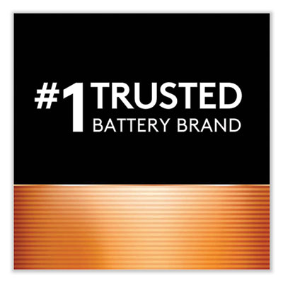 Duracell Rechargeable StayCharged NiMH Batteries, AA, 2/Pack (DURNLAA2BCD)