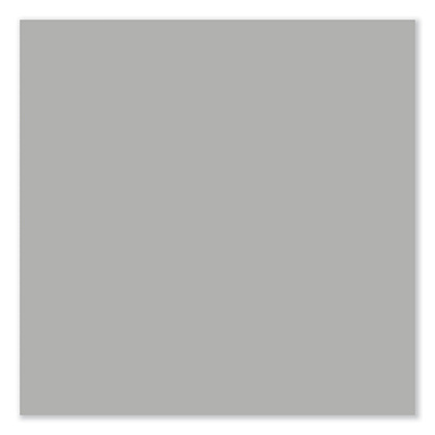 Hirsh Industries Full-Width Pull 20 Deep Mobile Pedestal File, 2-Drawer: File/File, Letter, Arctic Silver, 15 x 19.88 x 27.75 (HID24111)