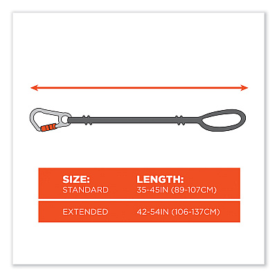 ergodyne Squids 3100 Lanyard with Aluminum Carabiner + Cinch-Loop, 10 lb Max Working Capacity, 42" to 54" Long, Black (EGO19012)