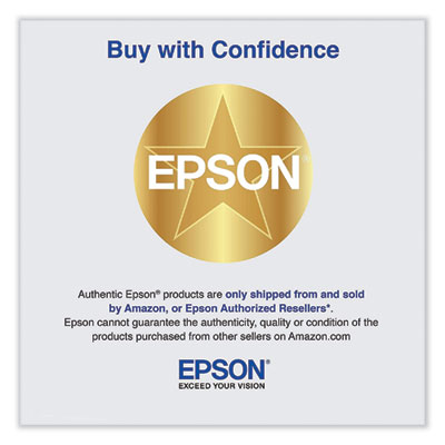 Epson Waste Ink Bottle (C13S210071)
