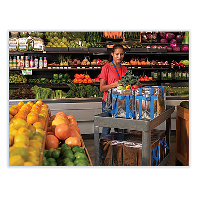 PackIt Fresh Eco Freeze Tote, (2) Blue Nylon Shoulder Straps, (2) Blue Nylon Strap Handles, 13.5" x 9" x 13", Silver/Blue, 4/Carton (PKFUDMAG)