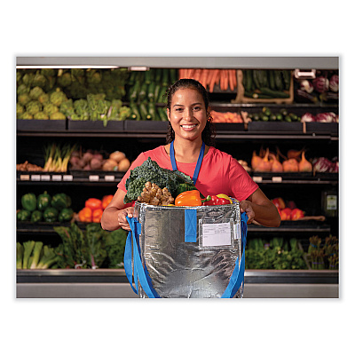PackIt Fresh Eco Freeze Tote, (2) Blue Nylon Shoulder Straps, (2) Blue Nylon Strap Handles, 13.5" x 9" x 13", Silver/Blue, 4/Carton (PKFUDMAG)