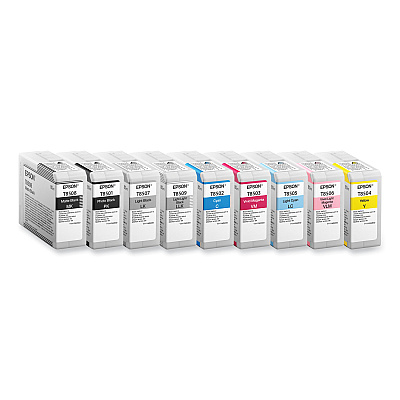 Epson T850100 Ink, Photo Black