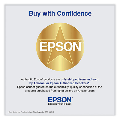 Epson T85060N (T850) UltraChrome High-Yield Ink, Vivid Light Magenta
