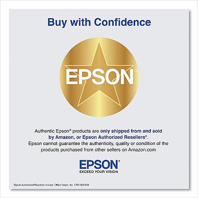 Epson T850900 Ink, Light Light Black