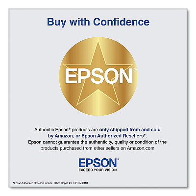 Epson T770920 (T770) UltraChrome PRO10 Ink, 25 mL, Light Gray