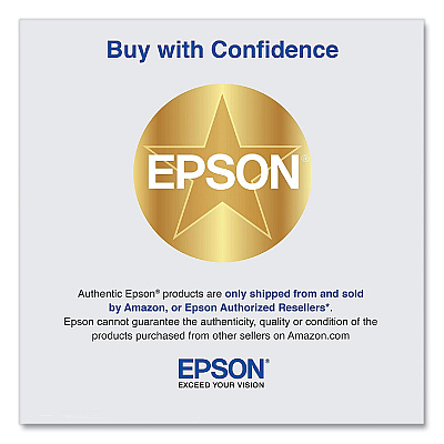 Epson T46Y700 (T46Y) UltraChrome PRO10 Ink, 50 mL, Gray