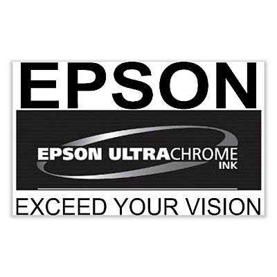 Epson T46Y100 (T46Y) UltraChrome PRO10 Ink, 50 mL, Photo Black