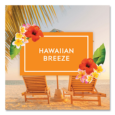Glade Plugin Scented Oil, Hawaiian Breeze, 0.67 oz, 2 Warmers and 6 Refills/Pack (SJN319962)