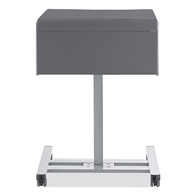 NPS Sit-Stand Student Desk Pro, 23.5" x 19.5" x 28.5" to 41.75", Charcoal Gray (NPSSSDG20)