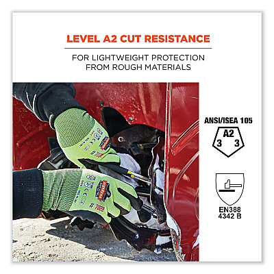ergodyne ProFlex 7022-CASE ANSI A2 Coated CR Gloves DSX, Lime, X-Large, 144 Pairs/Carton (EGO17875)