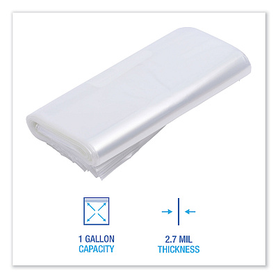 Boardwalk Reclosable Freezer Storage Bags, 1 gal, 10.5" x 11", Clear, 250/Box (BWK1GALFZRBAG)