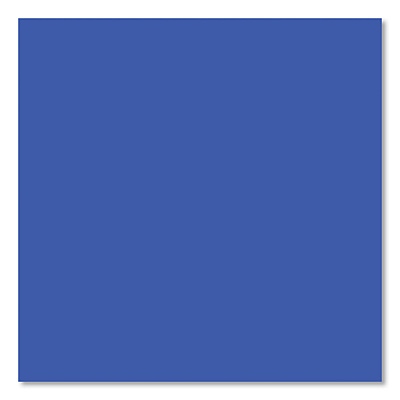 Sharpie Permanent Paint Marker, Medium Bullet Tip, Blue (SAN35551)