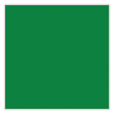 Sharpie Permanent Paint Marker, Fine Bullet Tip, Green (SAN35537)