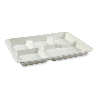 AmerCareRoyal Bagasse PFAS-Free Food Tray, 5-Compartment, 8.26 x 10.23 x 0.94, White, Bamboo/Sugarcane, 500/Carton (RPPTL15TNPFA)