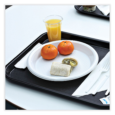 Boardwalk Hi-Impact Plastic Dinnerware, Plate, 10" dia, White, 500/Carton (BWKPLHIPS10WH)