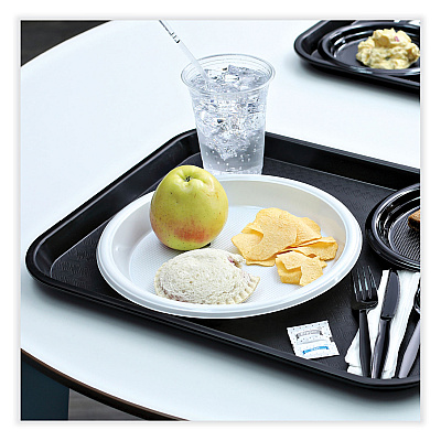 Boardwalk Hi-Impact Plastic Dinnerware, Plate, 10" dia, White, 500/Carton (BWKPLHIPS10WH)