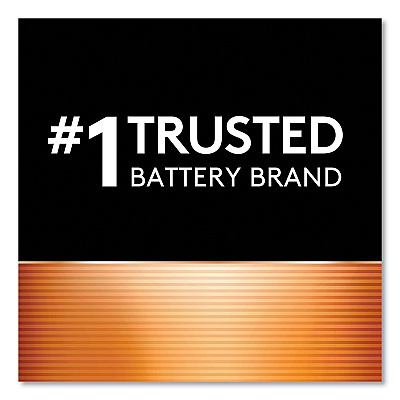 Duracell Power Boost CopperTop Alkaline AA Batteries, 24/Box (DURMN1500B24)